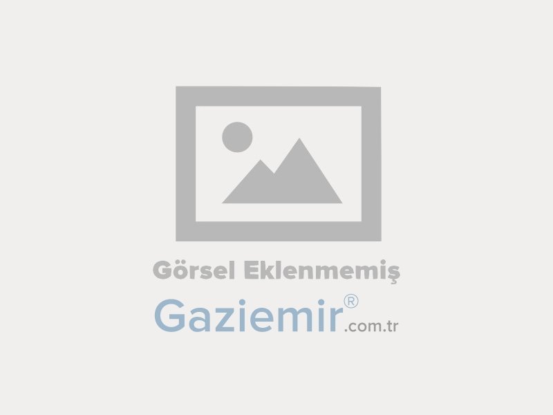 Özel Gaziemir Anadolu Lisesi
