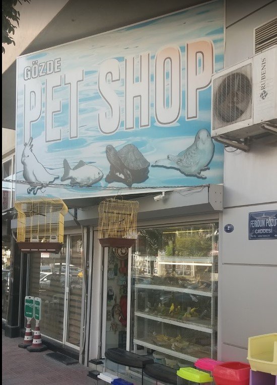 gözde petshop